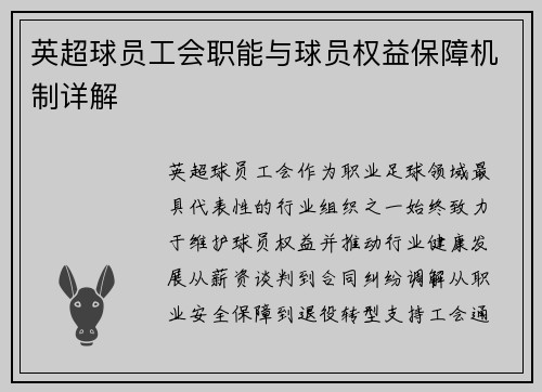 英超球员工会职能与球员权益保障机制详解